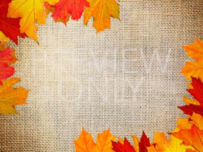 Autumn Leaves Still 3