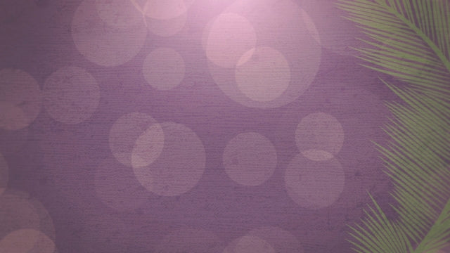 Palm Sunday Bokeh 02