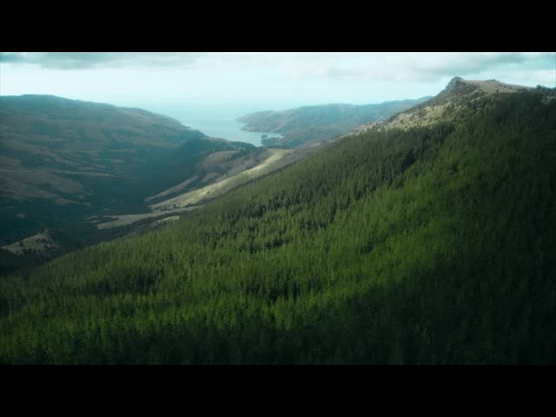 Aerial Bliss 2