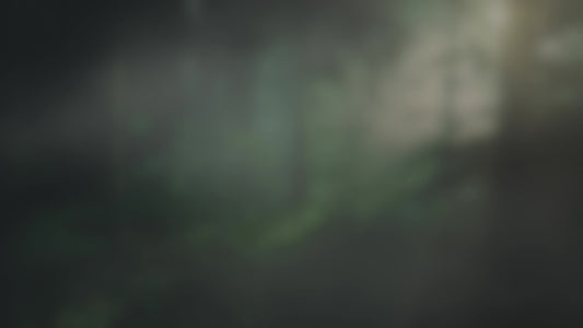 Lumberjack Dad Rays Alt