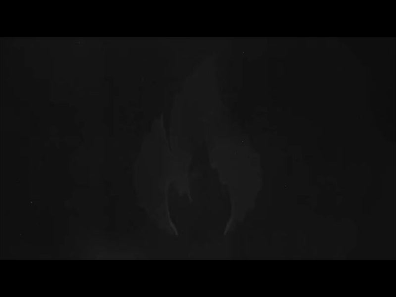 Another In The Fire Loop 12