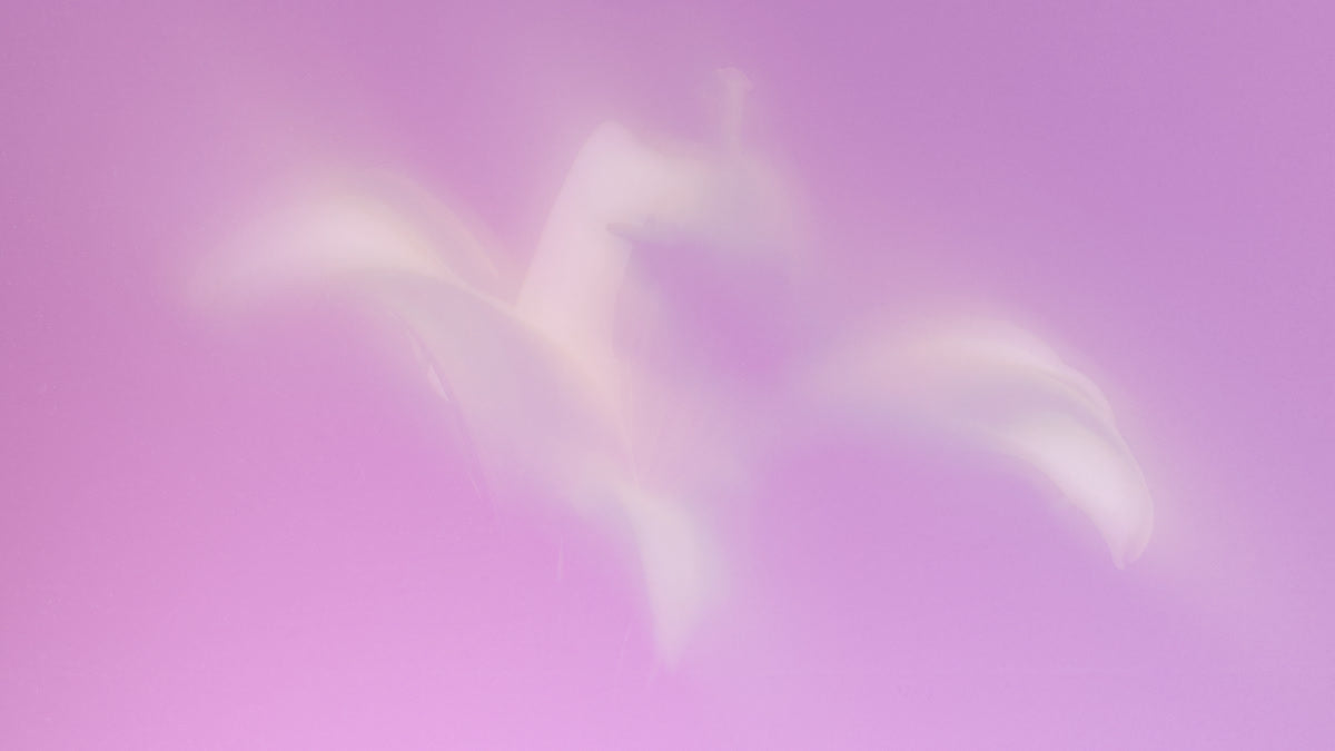 Living Hope Still 02