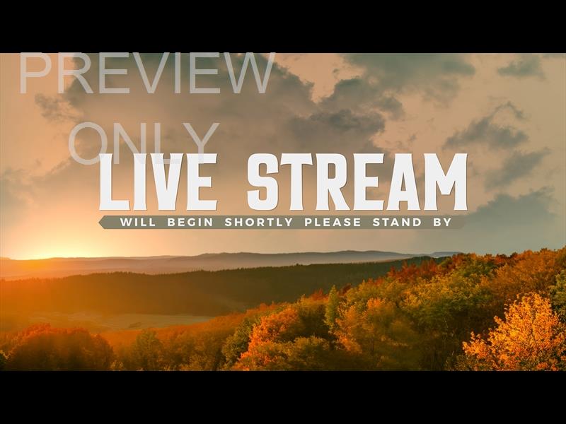Wilderness Fall Live Stream Still