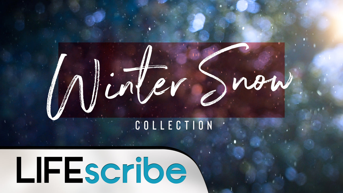 Winter Snow Collection