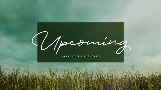 Deep Autumn Upcoming Still