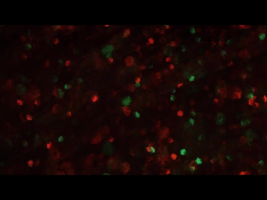 Paint Canvas Christmas Lights