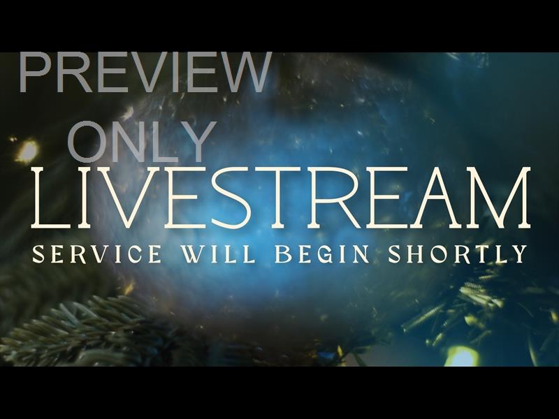 Bright And Beautiful Livestream Still