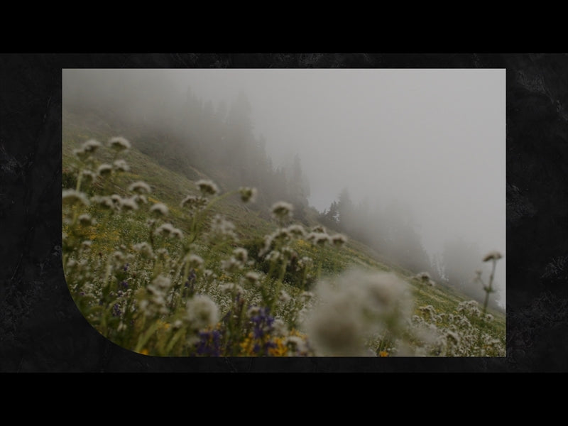 Mountainside Loop 01