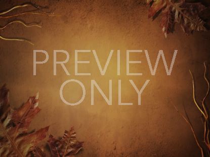 Fall 01 Still
