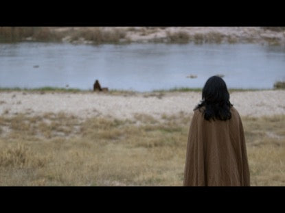 Abraham: Sarah And Hagar