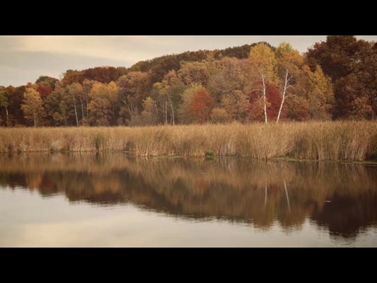Fall Colors Water Reflections