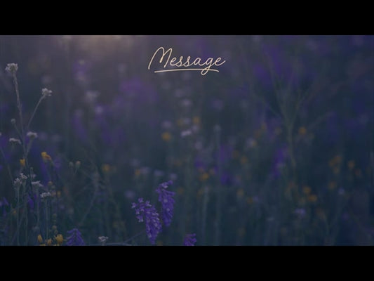 Summer Wildflower Message