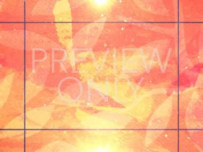 Seasonal Display Still 1