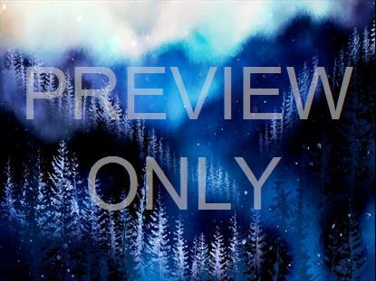 Christmas Woods 1 Still