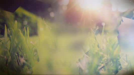 Spring Journey 01