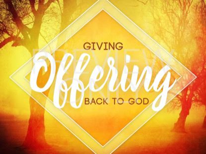 Autumn Forest Offering 1 Still