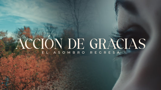 Thanksgiving The Wonder Returns Spanish
