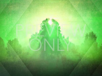 Spring Morning Green Still