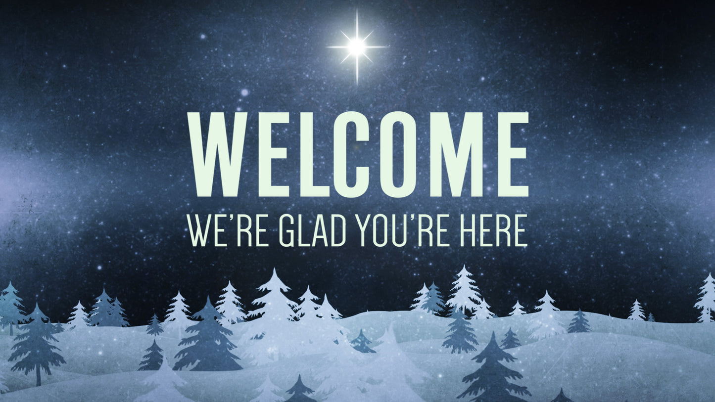 Christmas Forest Blue Welcome Still