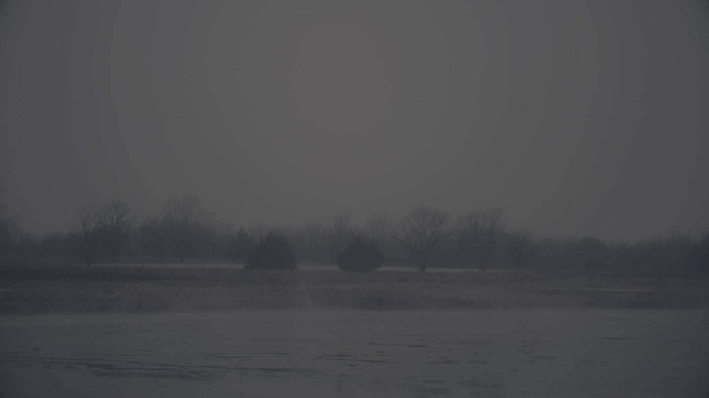 Bleak Beauty Mist Fade