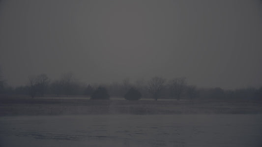 Bleak Beauty Mist Fade