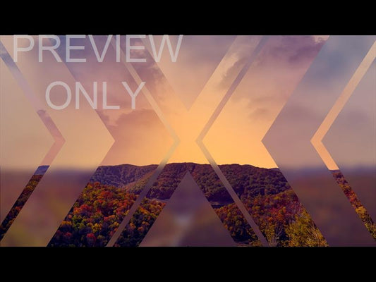Wilderness Fall 5 Remix Still