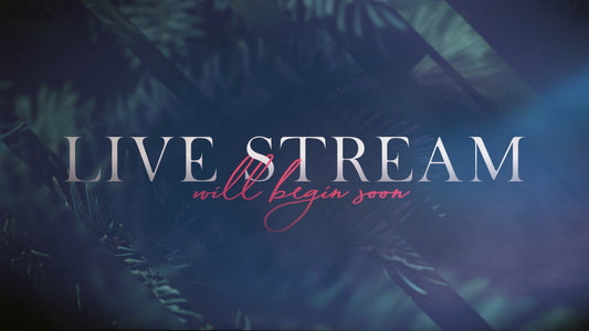 Christmas Journey Live Stream