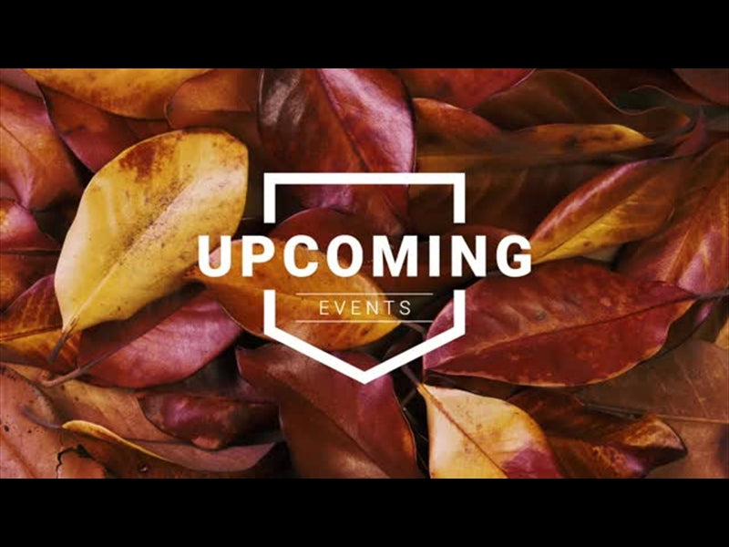 Autumn Leaves Upcoming