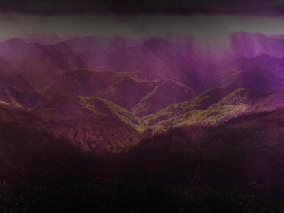 Streaming Beauty 3 Motion