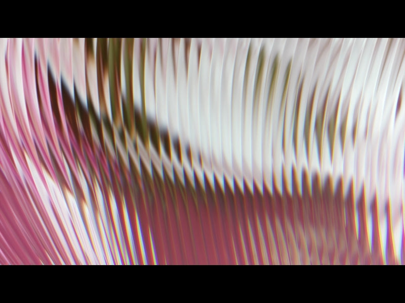 Glorious Day Loop 08