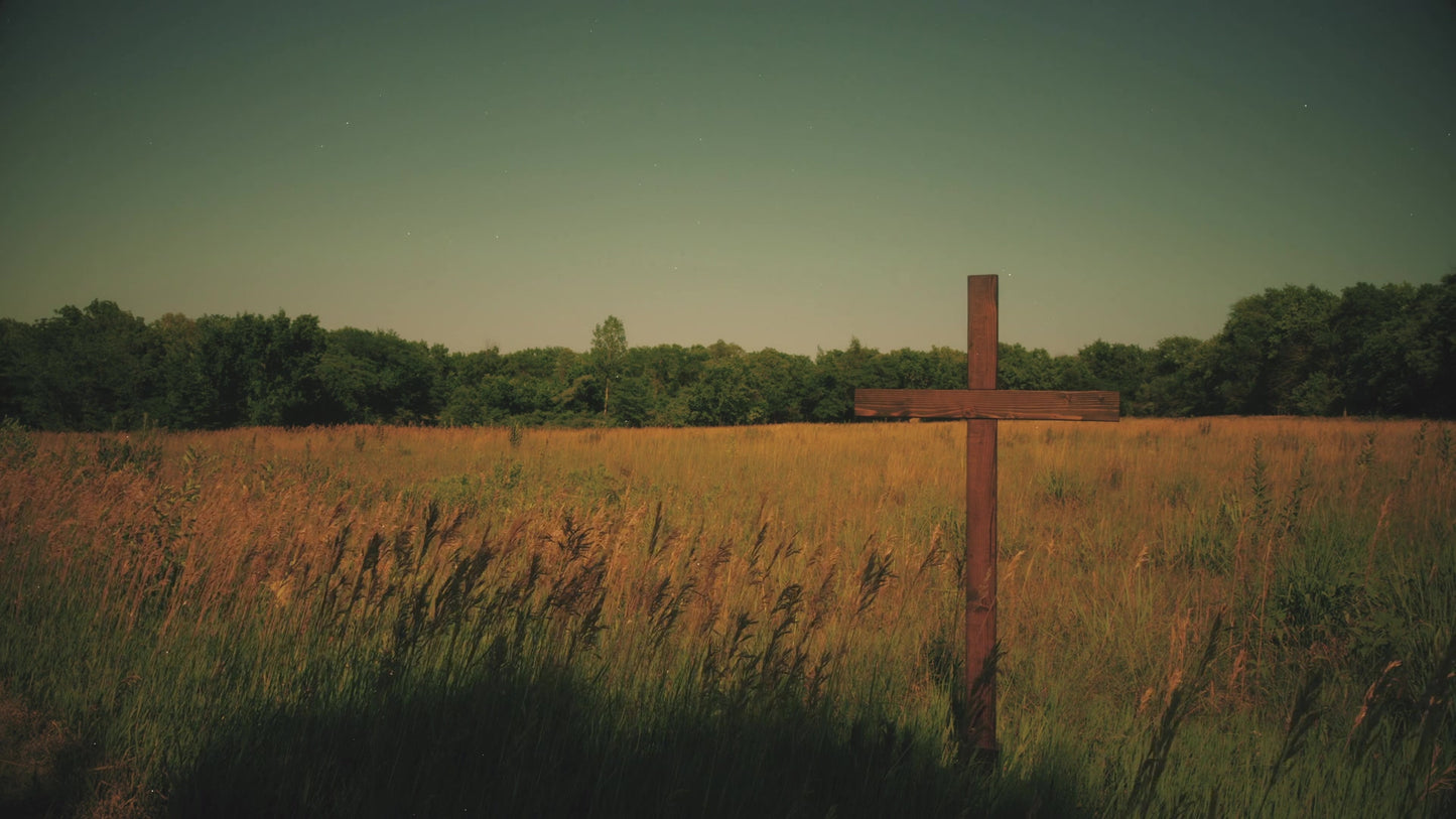 Cross 11 Still