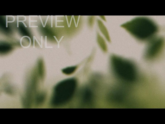 Autumn Again Still 04