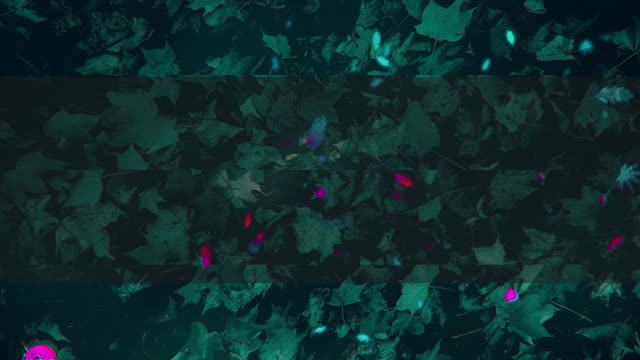 Autumn Memories 10 Alt
