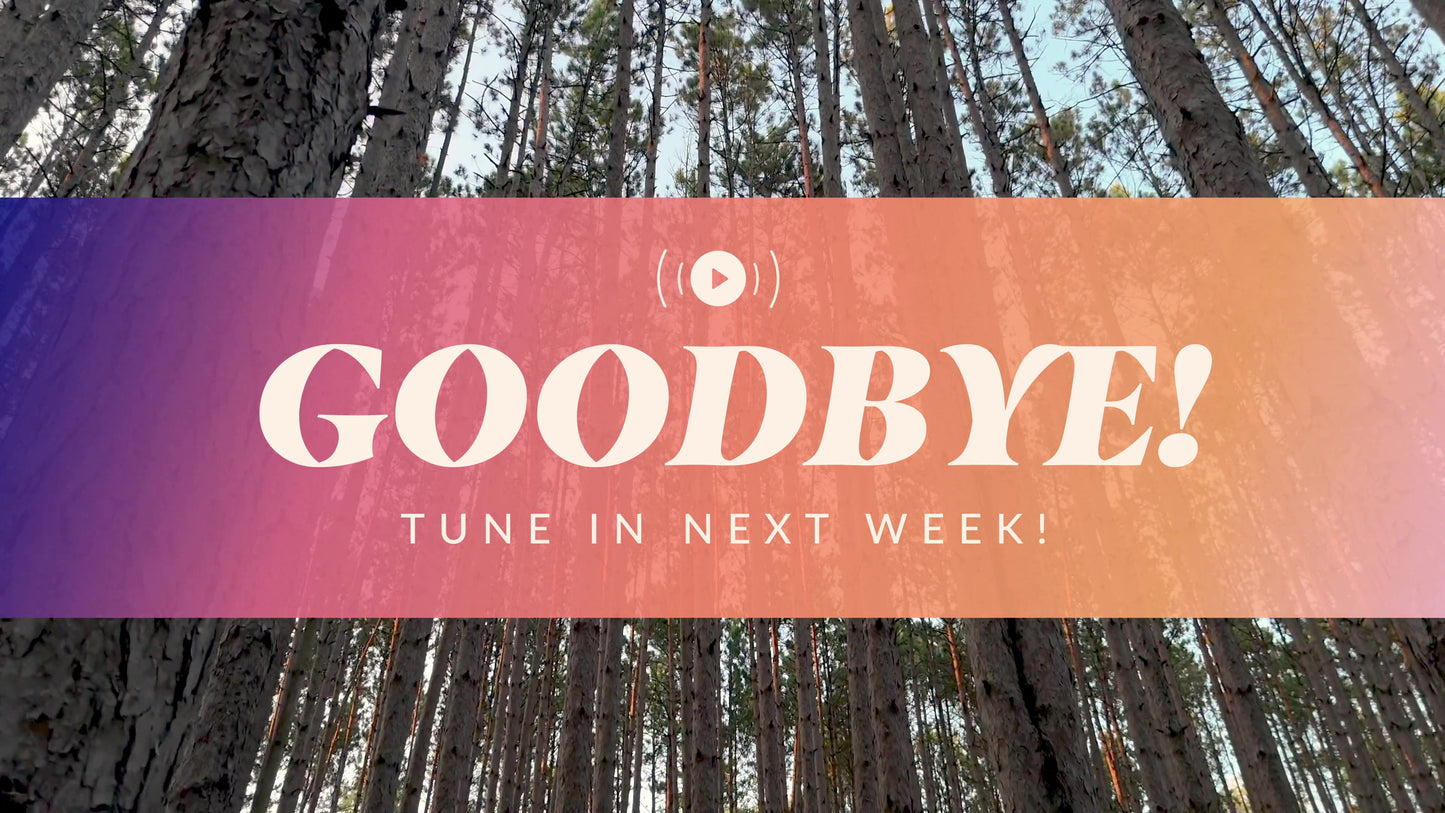 The Forest Exit Stream