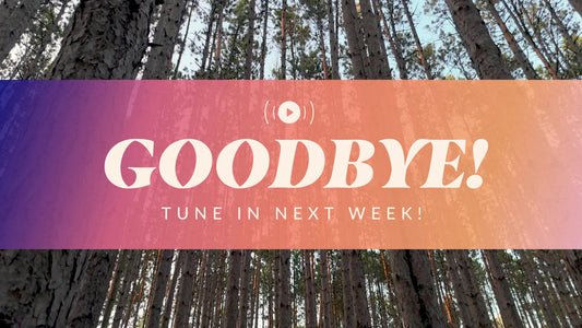 The Forest Exit Stream