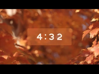 Fall Focus Countdown