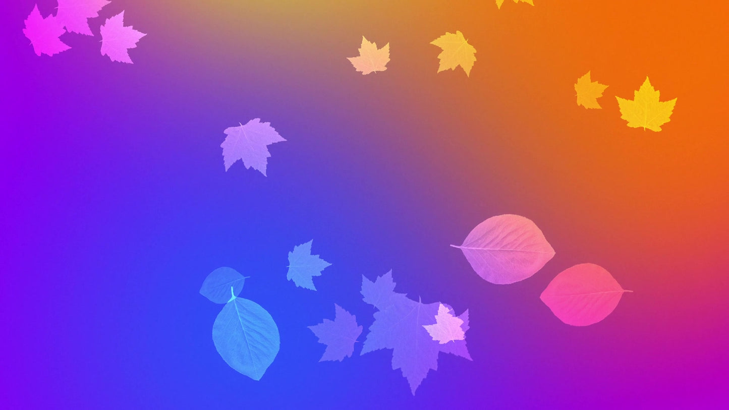 Vibrant Fall 4