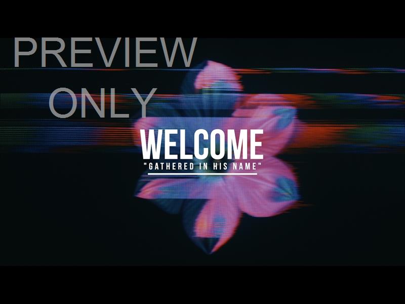 Crt Flowers Welcome Still