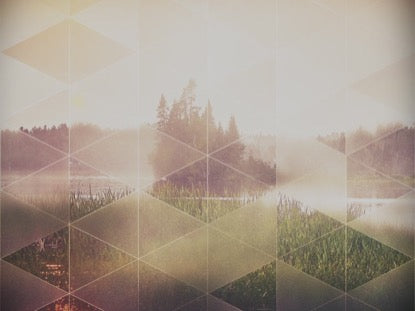 Opaque Triangles Marsh