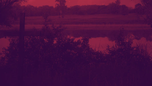 Nature Cross 2 Duotone