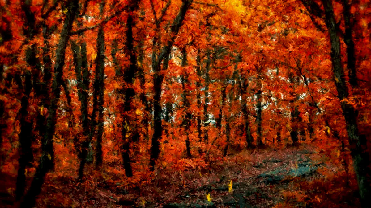 Autumn Vibes 9