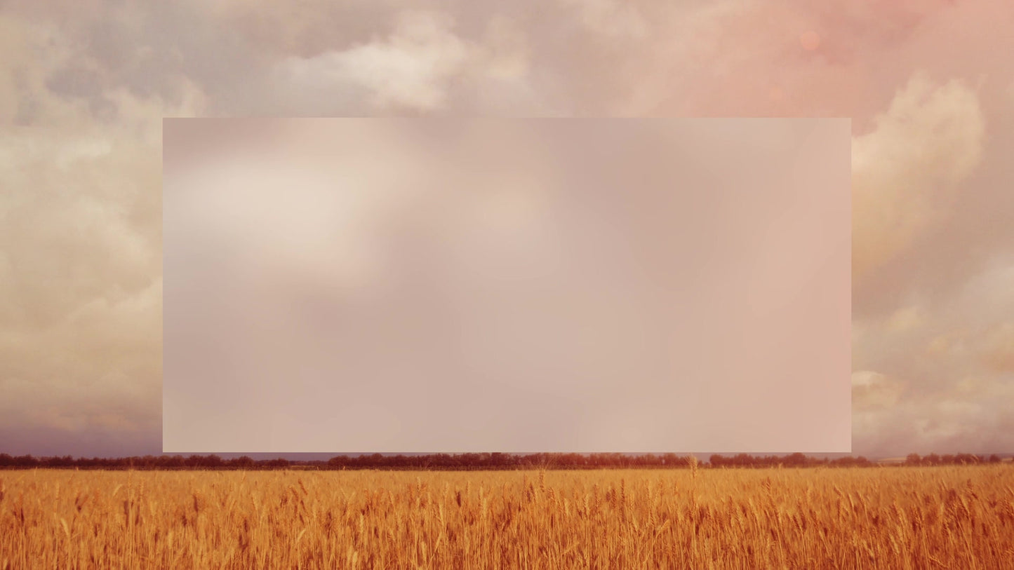 Golden Hour Field Alt Still