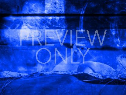 Christmas 01 Still 01