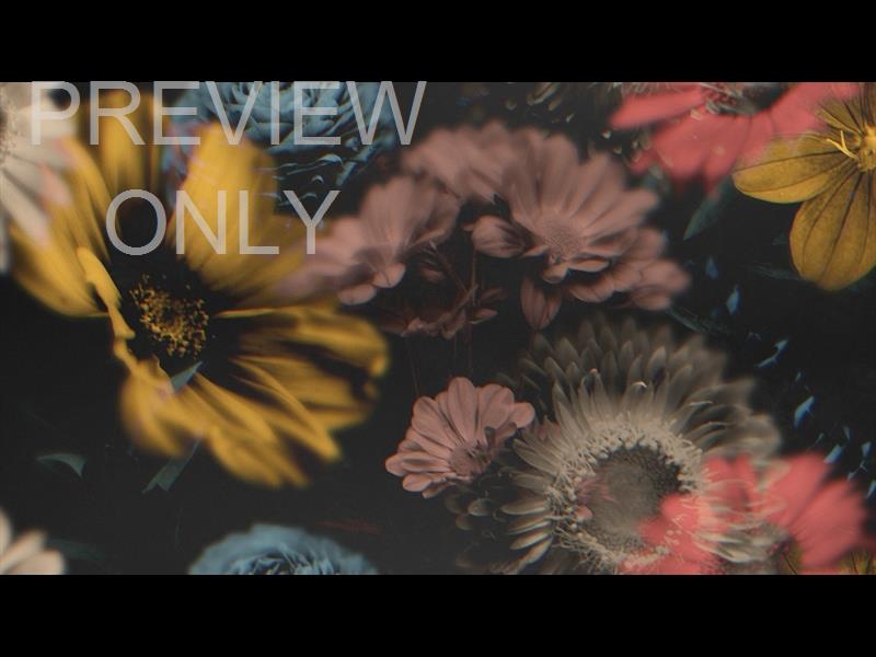 Deep Beauty Still 03