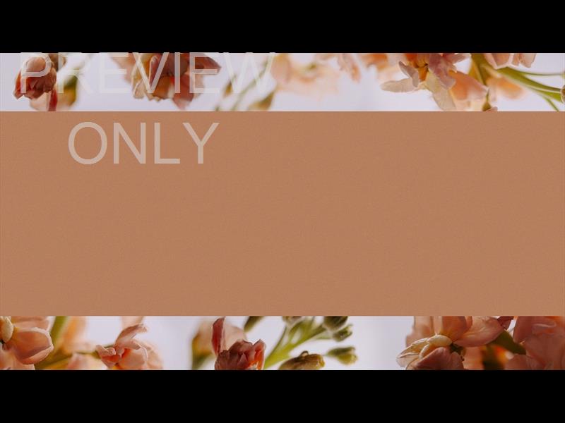 Floral Details Still 1