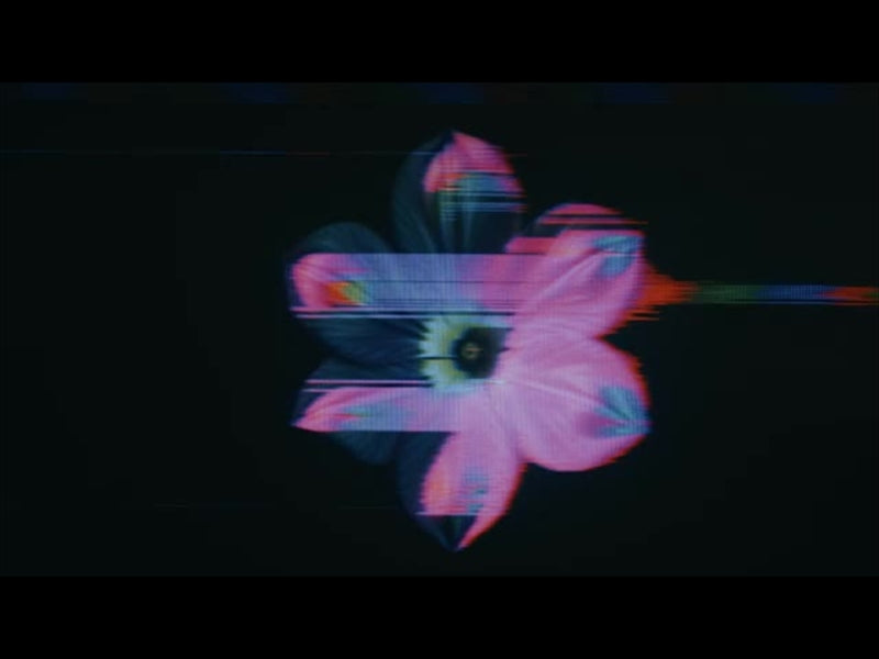 Crt Flowers 14