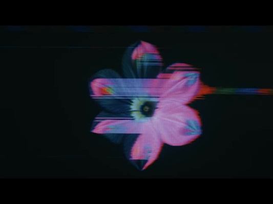Crt Flowers 14