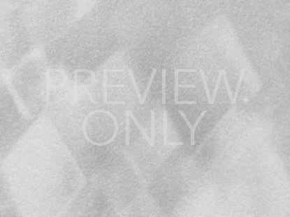 Bold Impressions Still 3