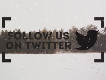 Winter Forest Frame Twitter