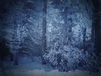 Winter Story 2 Motion